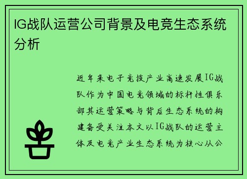 IG战队运营公司背景及电竞生态系统分析