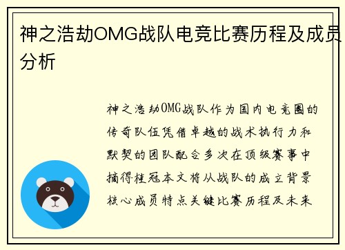 神之浩劫OMG战队电竞比赛历程及成员分析